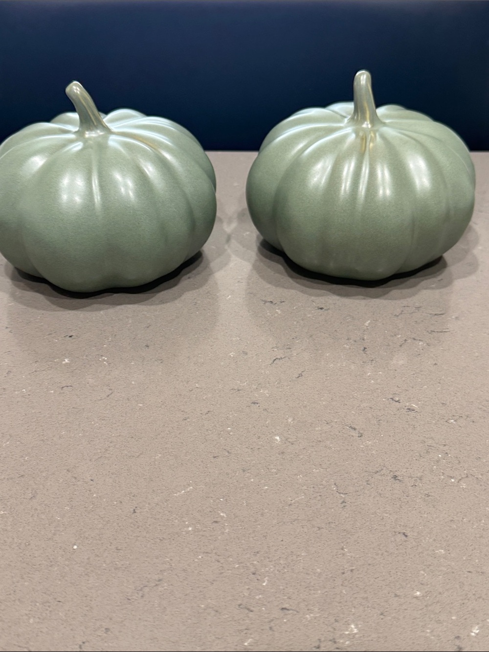 Set of Two Ceramic Pumpkins - Sage Green (Set of 2)